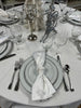 Mint Julep White Dinner Plate with Silver Trim